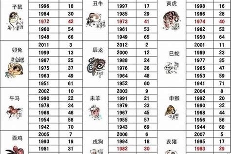 05年属|2005年属什么生肖 2005年生肖的命运